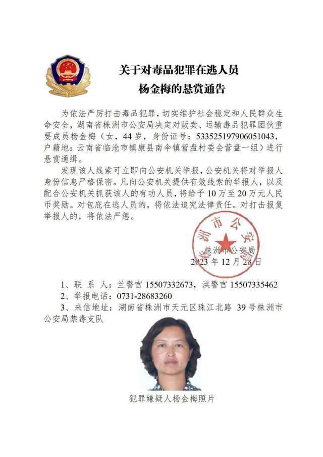 公安机关公开通缉10名缅北地区重大涉毒逃犯，照片公布