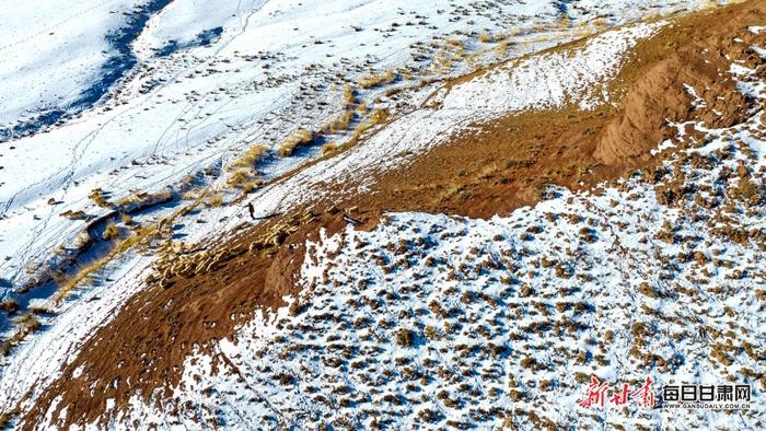 甘州区平山湖呈现唯美雪牧图