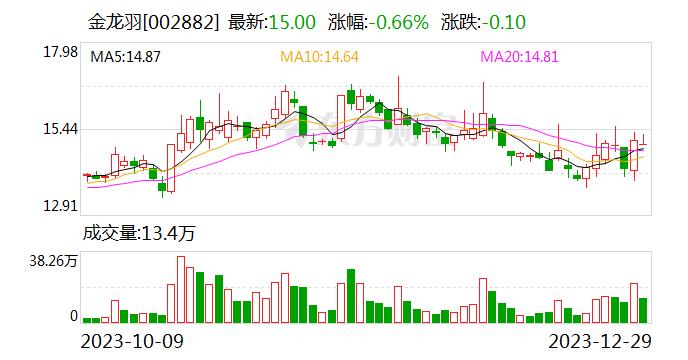 金龙羽：半固态电池是公司推进固态电池项目研发工作过程中的一个环节