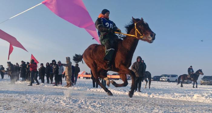 莫力达瓦达斡尔族自治旗：雪地赛马 感受冬日里的冰雪“骑”缘