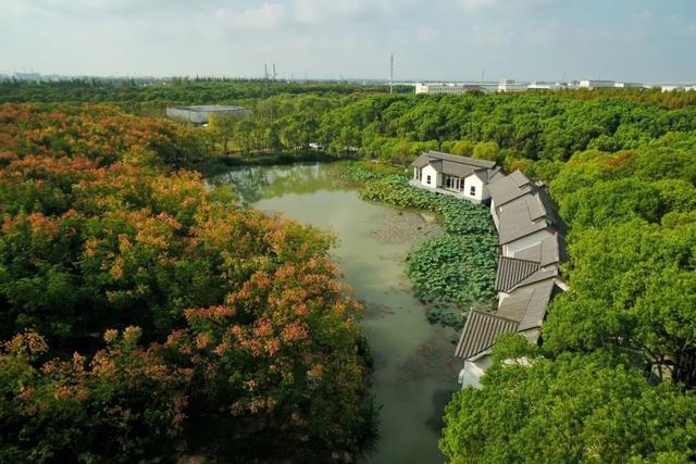 荣获2023年度国家水土保持示范工程荣誉，奉贤这里生态清洁小流域的治理秘诀是→