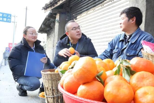 四川石棉：做实产业监督，护航乡村振兴