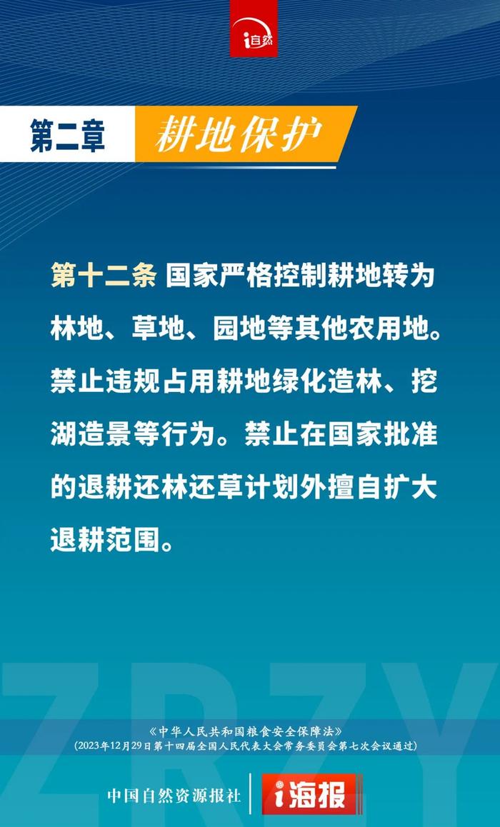 关于耕地保护，刚刚公布的粮食安全保障法这样规定