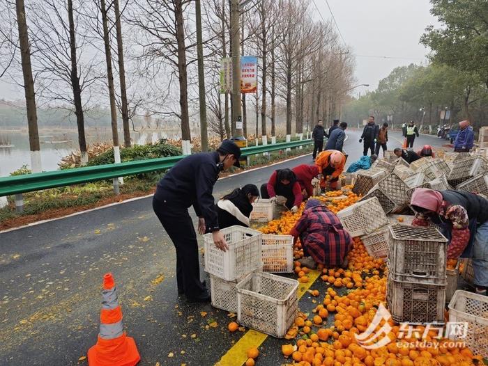 崇明横沙岛货车侧翻 100余箱橘子散落一地 民警帮忙挽回损失