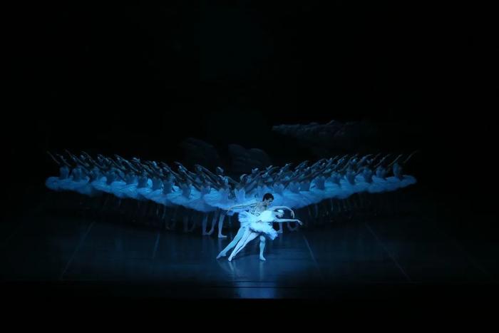 Local production of “Swan Lake” thrills audiences丨芭蕾舞剧《天鹅湖》来了~