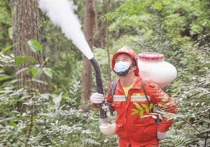 厚植底色 提升成色 增添亮色