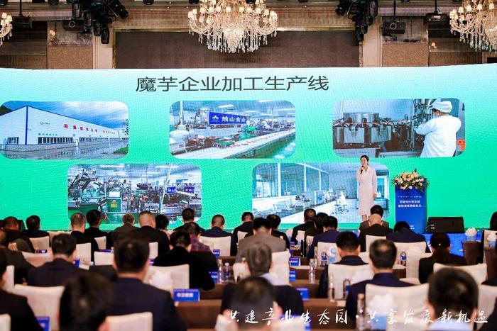 陕西安康市：开放发展暨投资机遇发布会在深圳举行