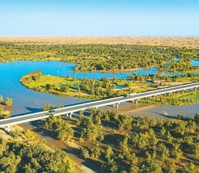 新疆连续多年系统治理塔里木河 枯河不枯 重现生机
