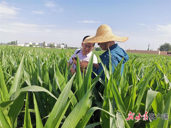 打通现代农业发展末梢——甘肃省农业社会化服务整省试点成效明显