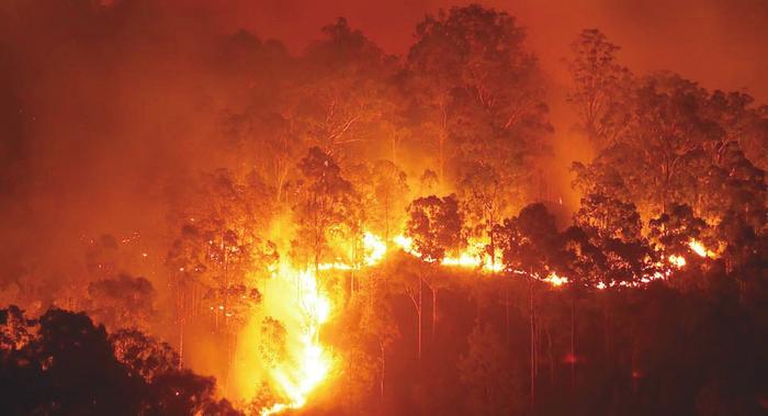 烈焰之殇：2019年澳大利亚山火事件