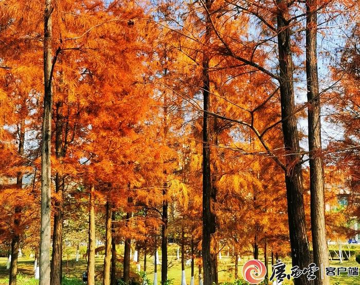 图集丨百色靖西：冬日绚丽多姿 风景优美如画