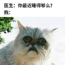 冬天不睡懒觉的人，你们会后悔的！