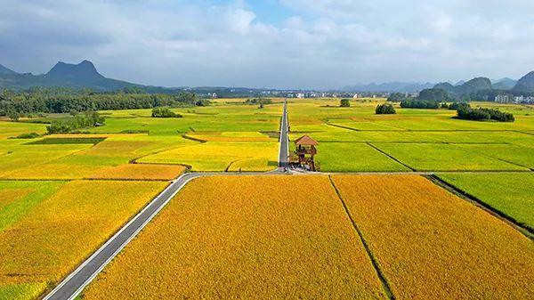 永州这条路线入选！中国美丽乡村休闲旅游行（冬季）精品景点线路