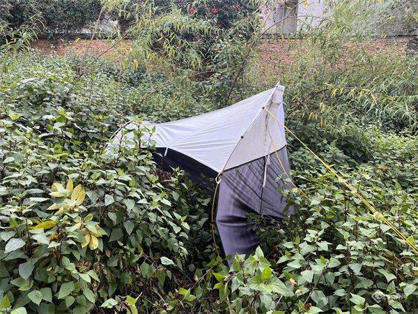 【云视角】“生态文明合伙人”在昆明翠湖探索城市生物多样性保护“样板间”