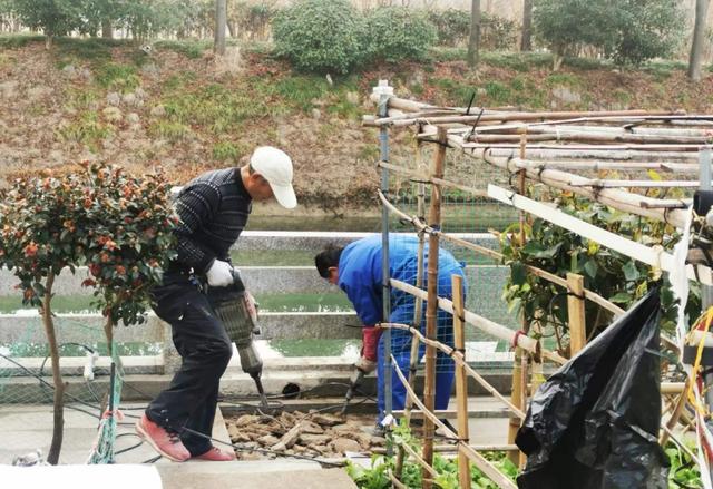 安装新能源车充电桩、规划蔬菜田……金山这里再升级！