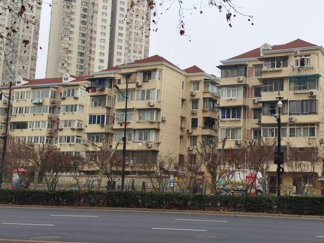 △图为虹桥路北侧已经得到重修剪的行道树,修剪后行道树大约仅剩3层楼高。