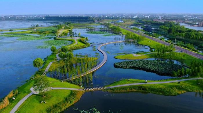 国土空间生态修复典型案例丨湖北省长江三峡地区山水林田湖草生态保护修复工程——枝江市金湖湿地生态修复项目