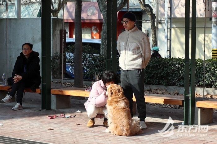 城市更新 | 上海口袋公园频频出圈，人气不输大公园，背后有啥“流量密码”