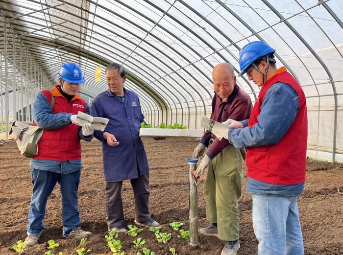 陕西长安区：电力服务进大棚 守护群众冬季“菜篮子”