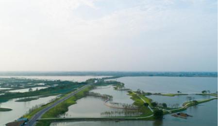 国土空间生态修复典型案例丨湖北省长江三峡地区山水林田湖草生态保护修复工程——枝江市金湖湿地生态修复项目