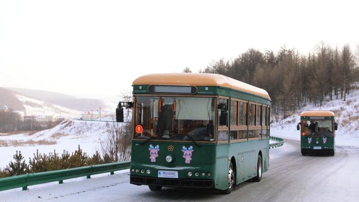 去哪进行“动物友好型”旅行？跟随黄羊看岭上兴安盟