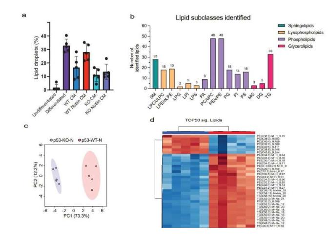 PNAS | 重编程脂肪细胞或会支持肿瘤生长