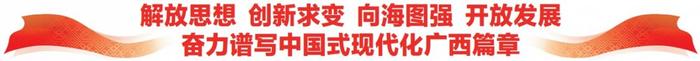 中国东信打造国家级数字经济平台——重访习近平总书记视察的中国—东盟信息港股份有限公司