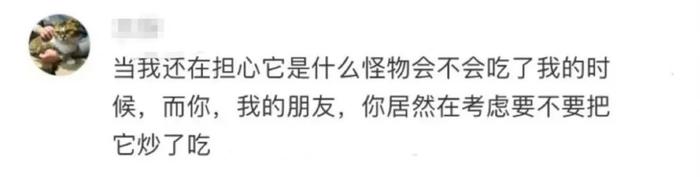 老师上课被学生逗笑是一种怎样的体验？网友：这谁能忍住不笑啊哈哈哈