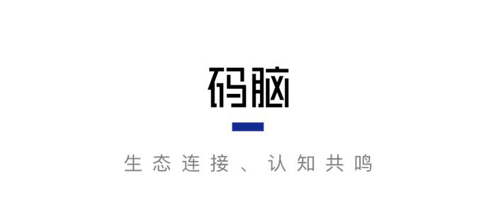 码脑｜CEO 的“魅力”，什么时候是资产，什么时候是负担？