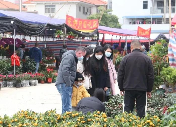 行花街啦🤩肇庆多地官宣迎春花市！时间、地点是→