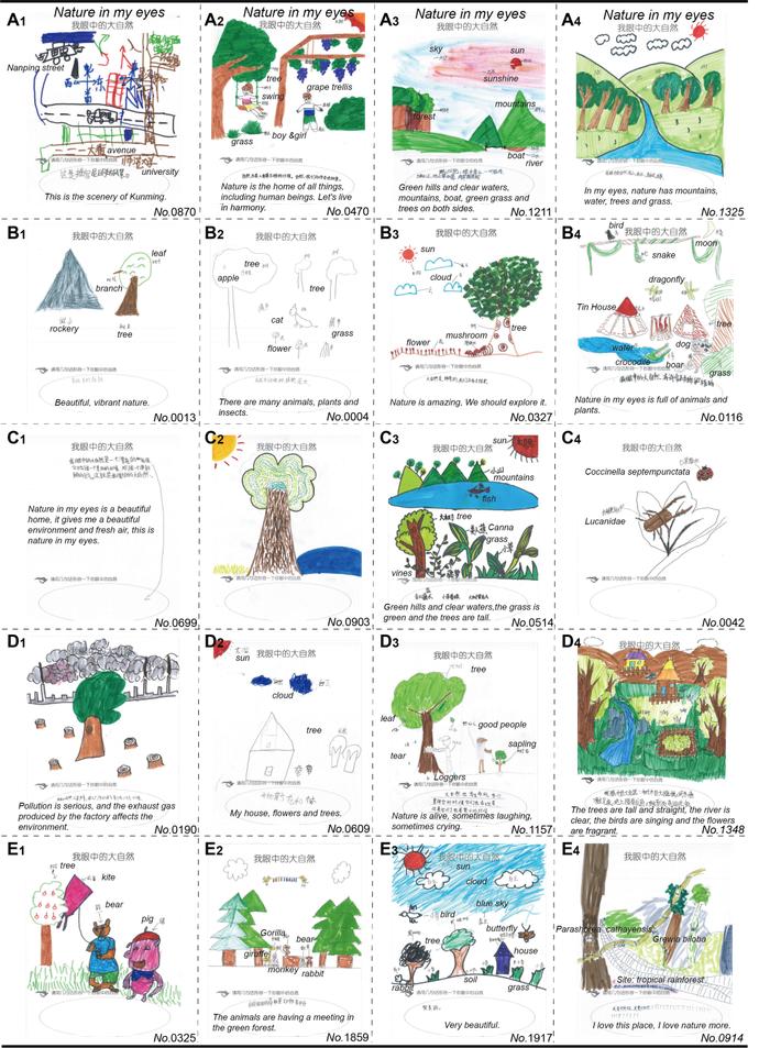 发现孩子眼中的自然——绘画揭示影响儿童自然表征的因素丨雨林热语 | 科技最前线