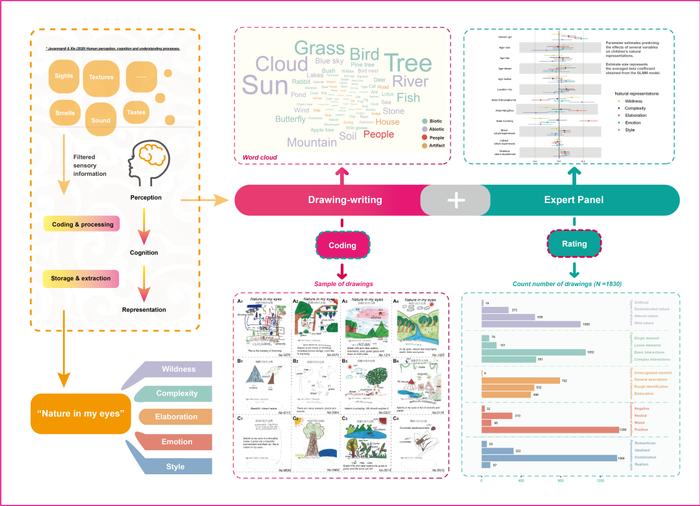 发现孩子眼中的自然——绘画揭示影响儿童自然表征的因素丨雨林热语 | 科技最前线