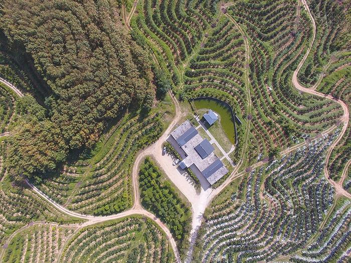 海南省琼中黎族苗族自治县大力发展柑橘产业园、咖啡标准化种植示范基地