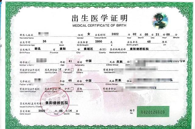 襄阳通报“代孕婴儿被伪造双胞胎证明”事件：已移交公安和纪委，将展开失职调查