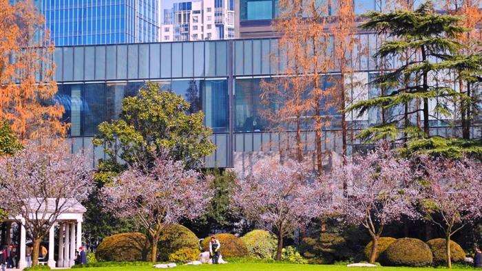 上海一周区情：社区生活圈旧貌换新颜 续写《繁花》重唤海派“老味道”