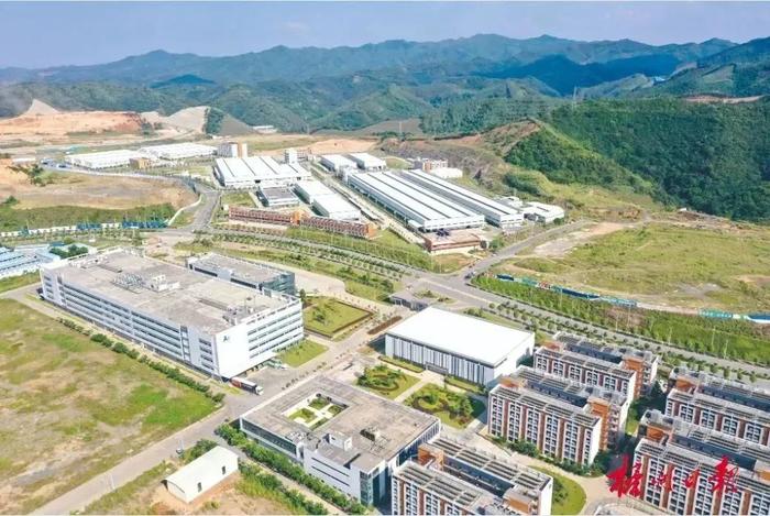 全面提升产业发展能级丨粤桂合作特别试验区（梧州）持续优化主导产业布局