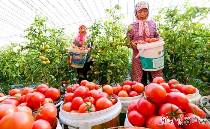 南美对虾、大闸蟹、火龙果……甘肃的宝藏特产藏不住啦