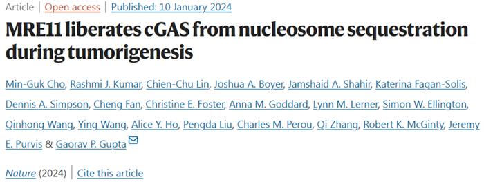 Nature | 新研究揭示MRE11从核小体封锁中释放cGAS从而预防癌症产生的机制
