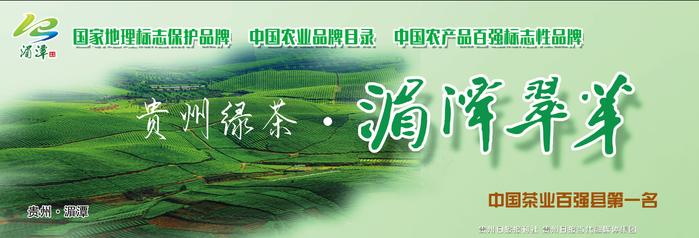 “朋友圈”越来越大 黔茶出山如虎添翼——全国性社会组织携手助力贵州茶产业高质量发展