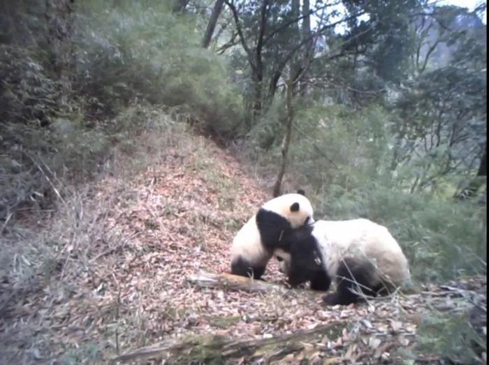 南美对虾、大闸蟹、火龙果……甘肃的宝藏特产藏不住啦