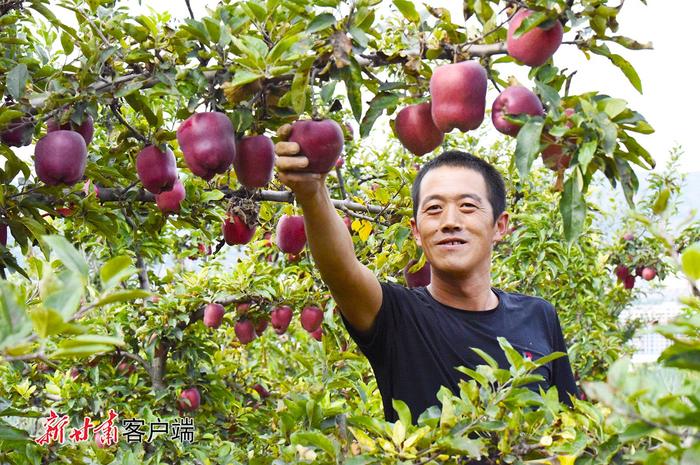 南美对虾、大闸蟹、火龙果……甘肃的宝藏特产藏不住啦