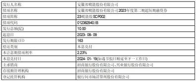 证券代码：000543    证券简称：皖能电力    公告编号：2023-63