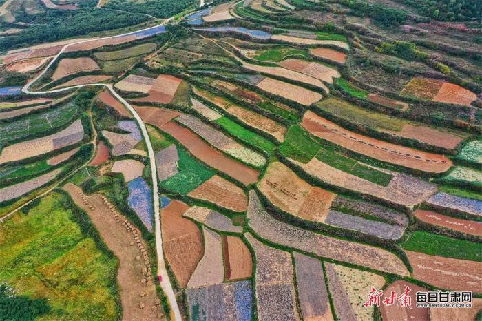 南美对虾、大闸蟹、火龙果……甘肃的宝藏特产藏不住啦