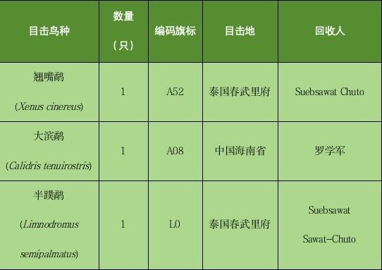 十年前在崇明戴上“身份证”，十年后收到了TA的消息