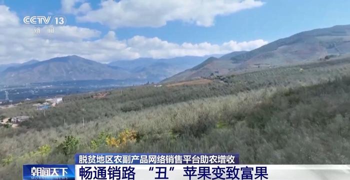 央媒看四川丨“丑”苹果变致富果！脱贫地区“土特产”这样打开销路→