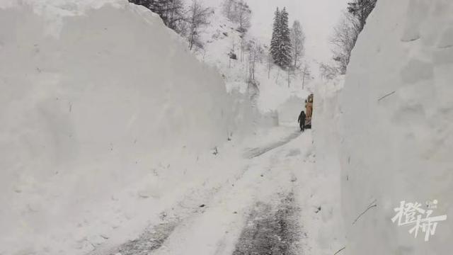 积雪最深超5米！新疆喀纳斯“暴风雪+雪崩”，滞留游客：“1880一晚的民宿已经白住四天了……”