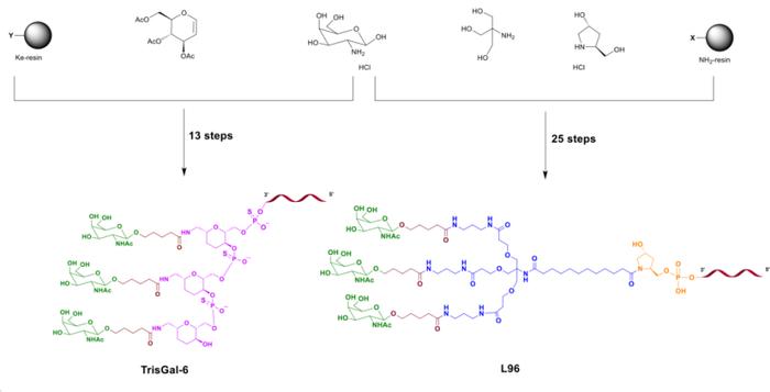 中国小核酸药企登上Cell子刊：进一步优化降血脂小核酸药物，生产成本可降低60%