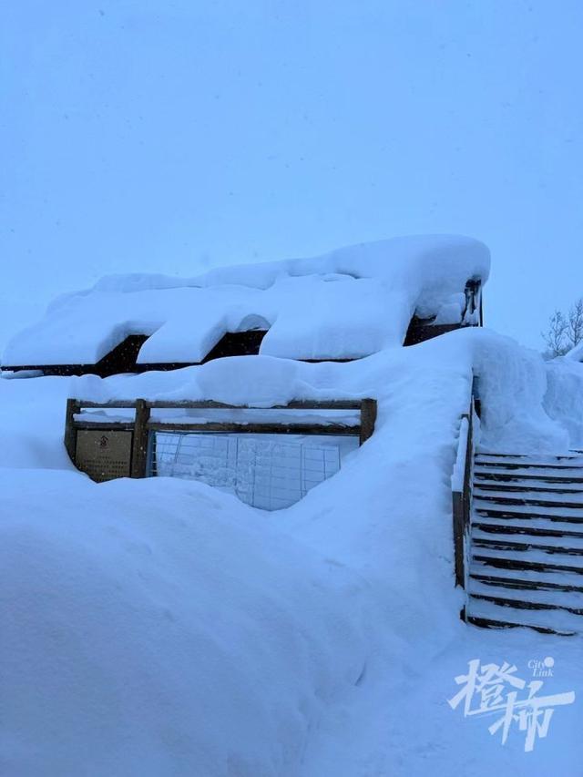 积雪最深超5米！新疆喀纳斯“暴风雪+雪崩”，滞留游客：“1880一晚的民宿已经白住四天了……”