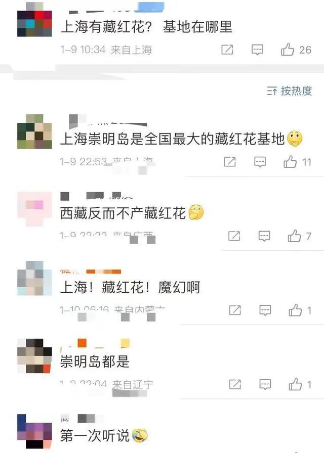 “我怎么不知道上海还产藏红花啊？”