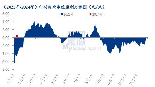 Mysteel解读：白羽鸡苗开盘涨幅162.38%，毛鸡价格仍存上行